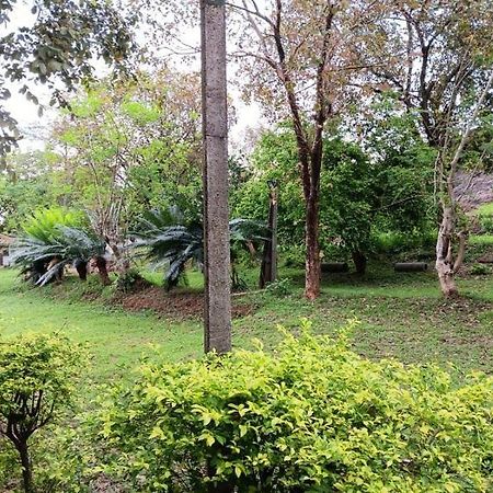 Aligama Cottage Talakolawela Ngoại thất bức ảnh