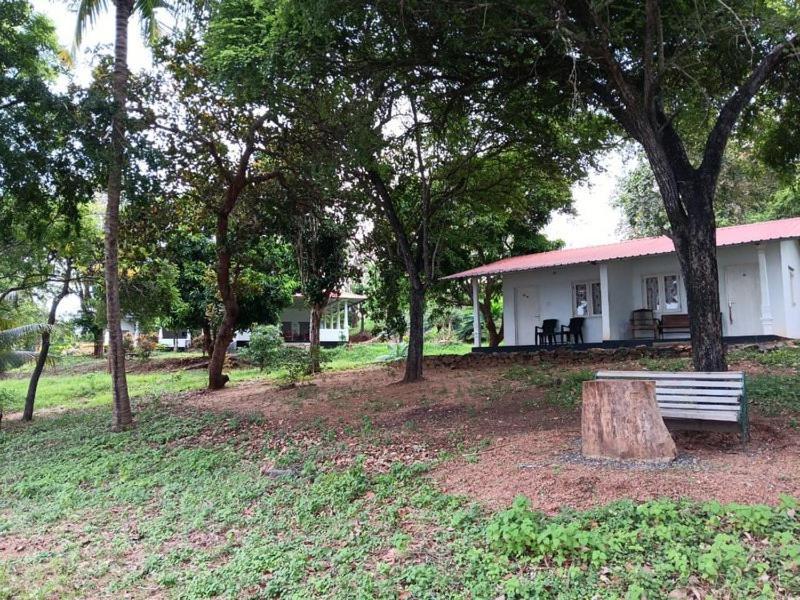 Aligama Cottage Talakolawela Ngoại thất bức ảnh