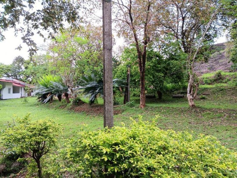 Aligama Cottage Talakolawela Ngoại thất bức ảnh