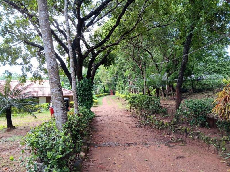 Aligama Cottage Talakolawela Ngoại thất bức ảnh